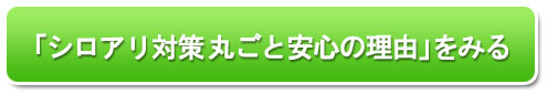 シロアリ消毒・シロアリ駆除はグリーン・パトロール　神奈川県、茅ヶ崎市、藤沢市、鎌倉市