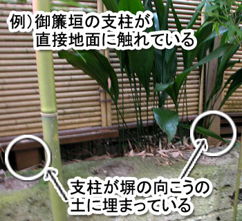 シロアリ消毒・シロアリ駆除はグリーン・パトロール　神奈川県、茅ヶ崎市、藤沢市、鎌倉市　シロアリの蟻道が